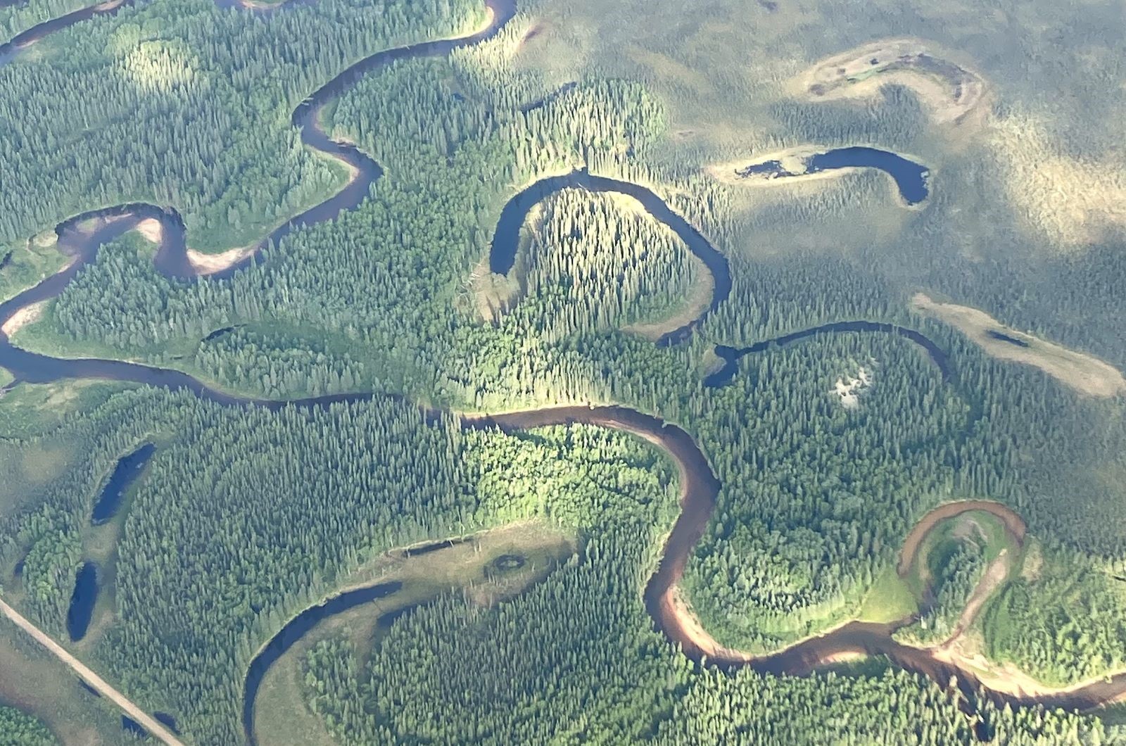 Aerial image of lowland forest