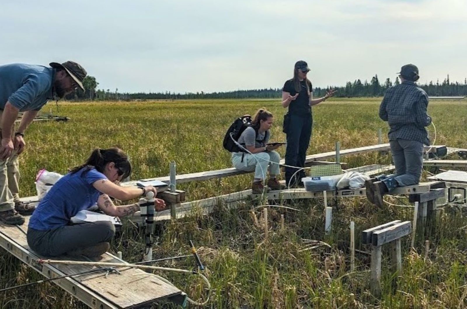 Investigators collect trace gas flux and environmental measurements in a rich fen