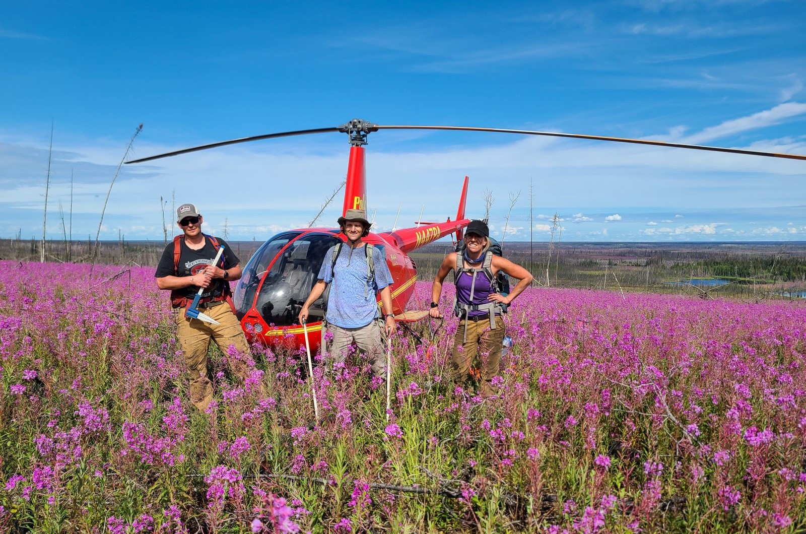 Sampling recently burned spruce forests near Fort Yukon, Alaska