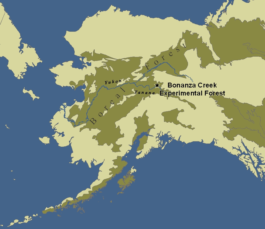 In 1987 the Bonanza Creek