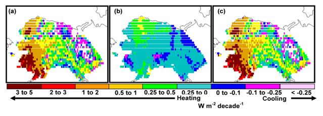 muscle broken due to car on calf