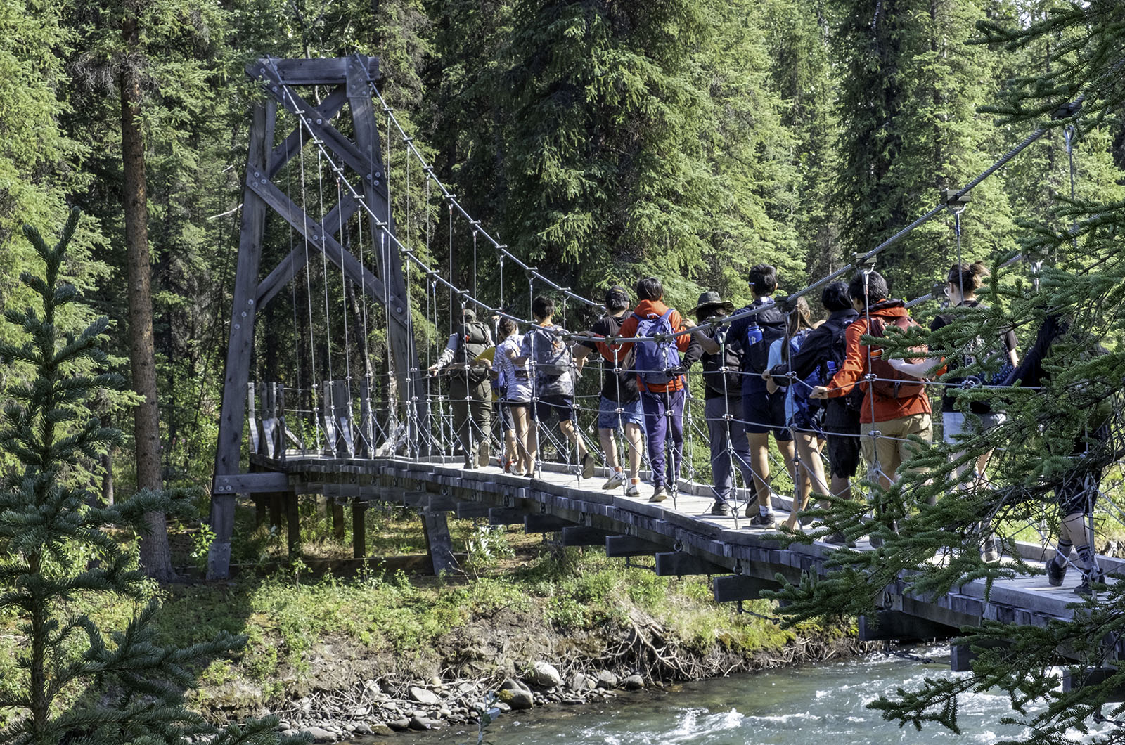Youth at a Fostering Science camp cross a bridge during a hike in Denali National Park and Preserve.  Photo: C. McCaa