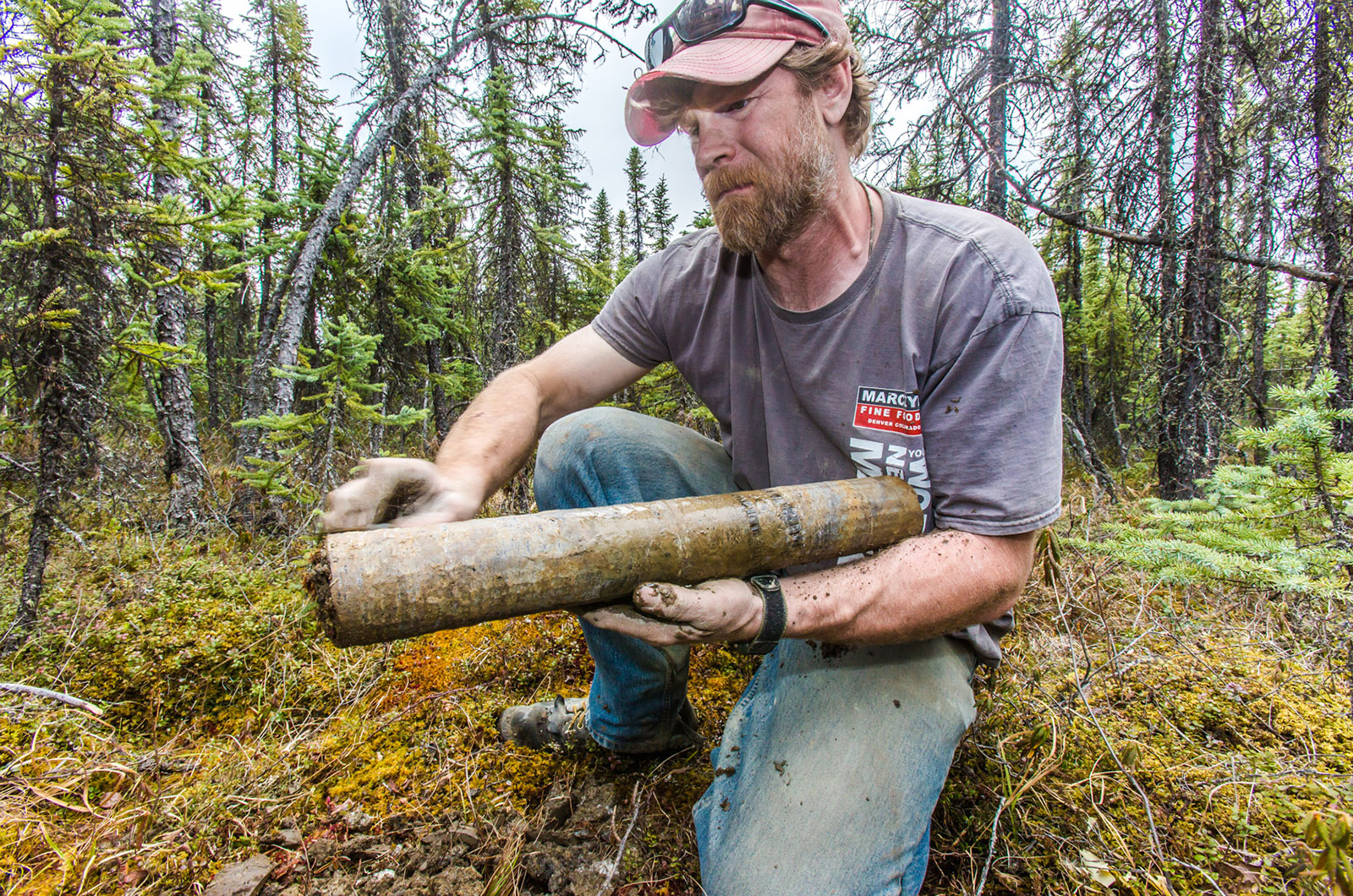 Permafrost core retrieved near the Tanana River.  Photo: UAF - T. Paris