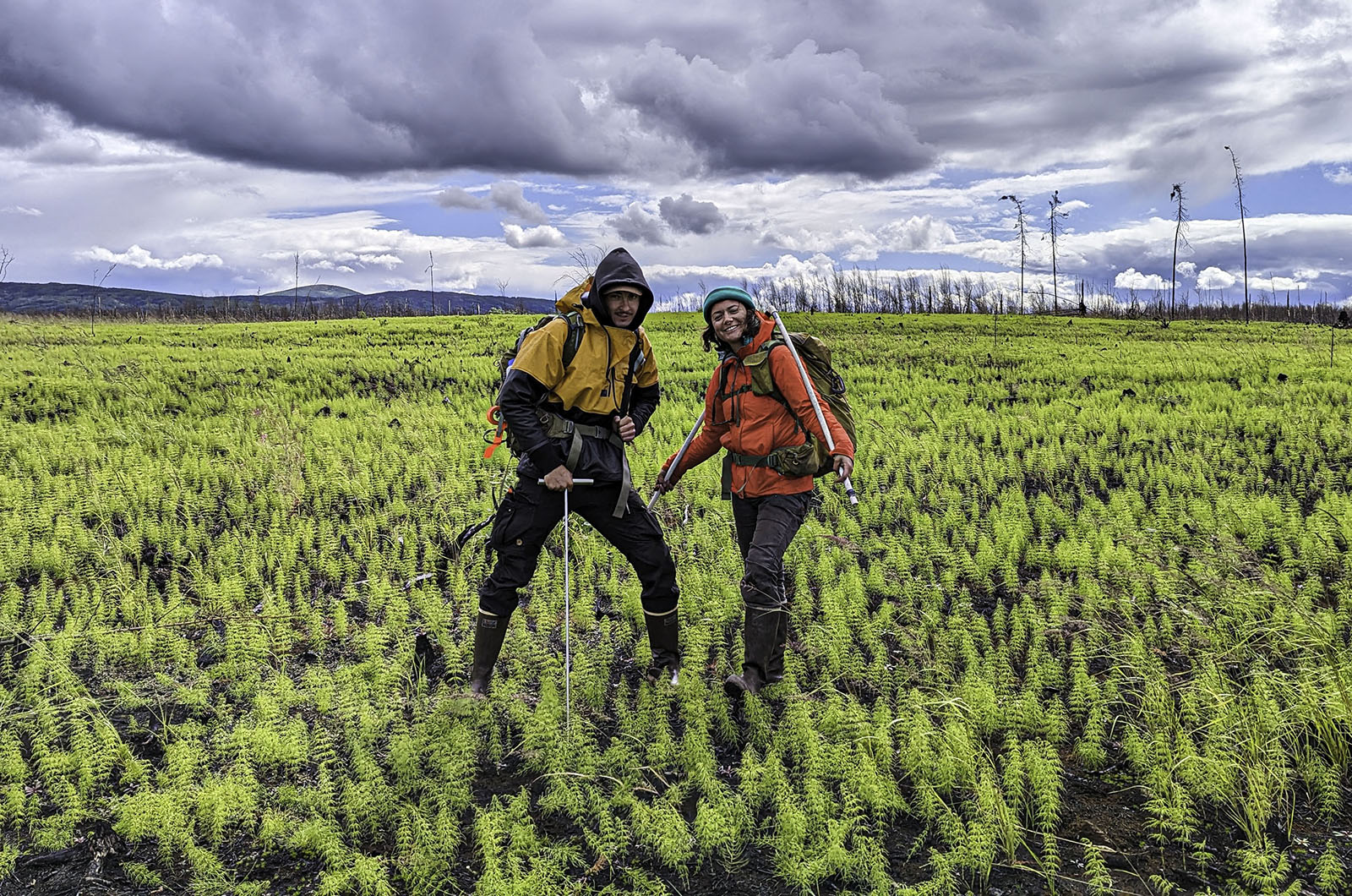 Two researchers measure depth to permafrost in a recently burned area.  Photo: C. Truettner