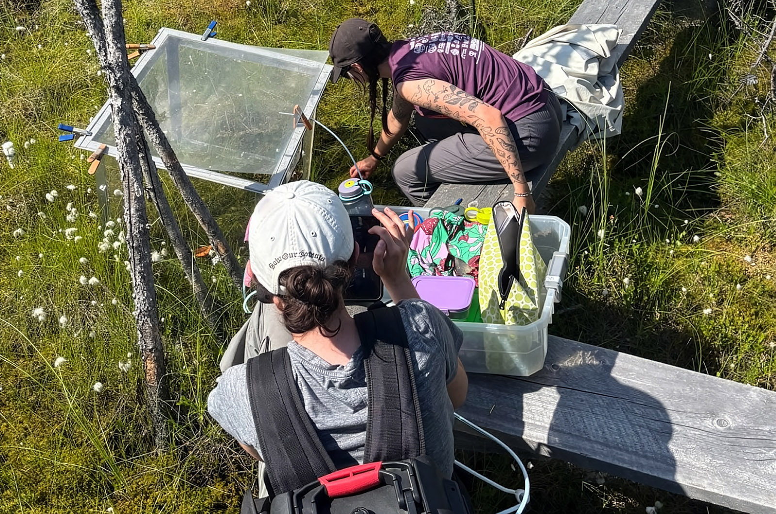 Research at the Alaska Peatland Experiment (APEX).