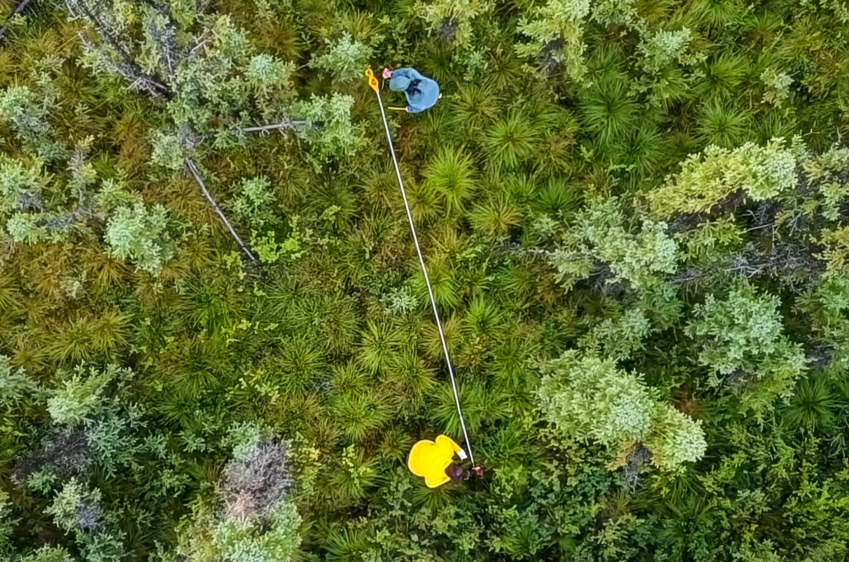 Students record soil and vegetation data along a tape transect.  Photo: UAF - K. Huo